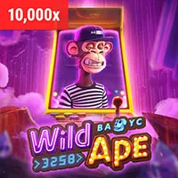 Hình ảnh minh họa quá trình thu thập dữ liệu an toàn tại app casino online uy tín